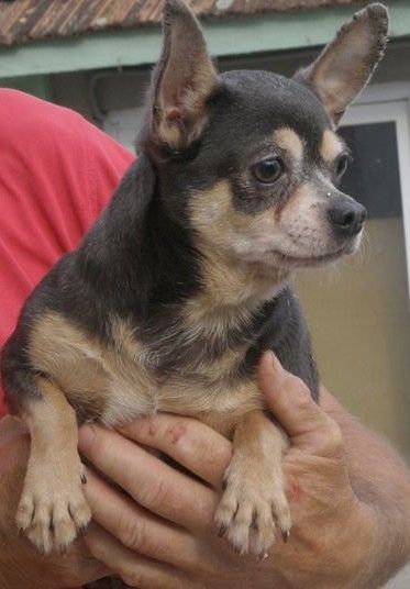 Cindy