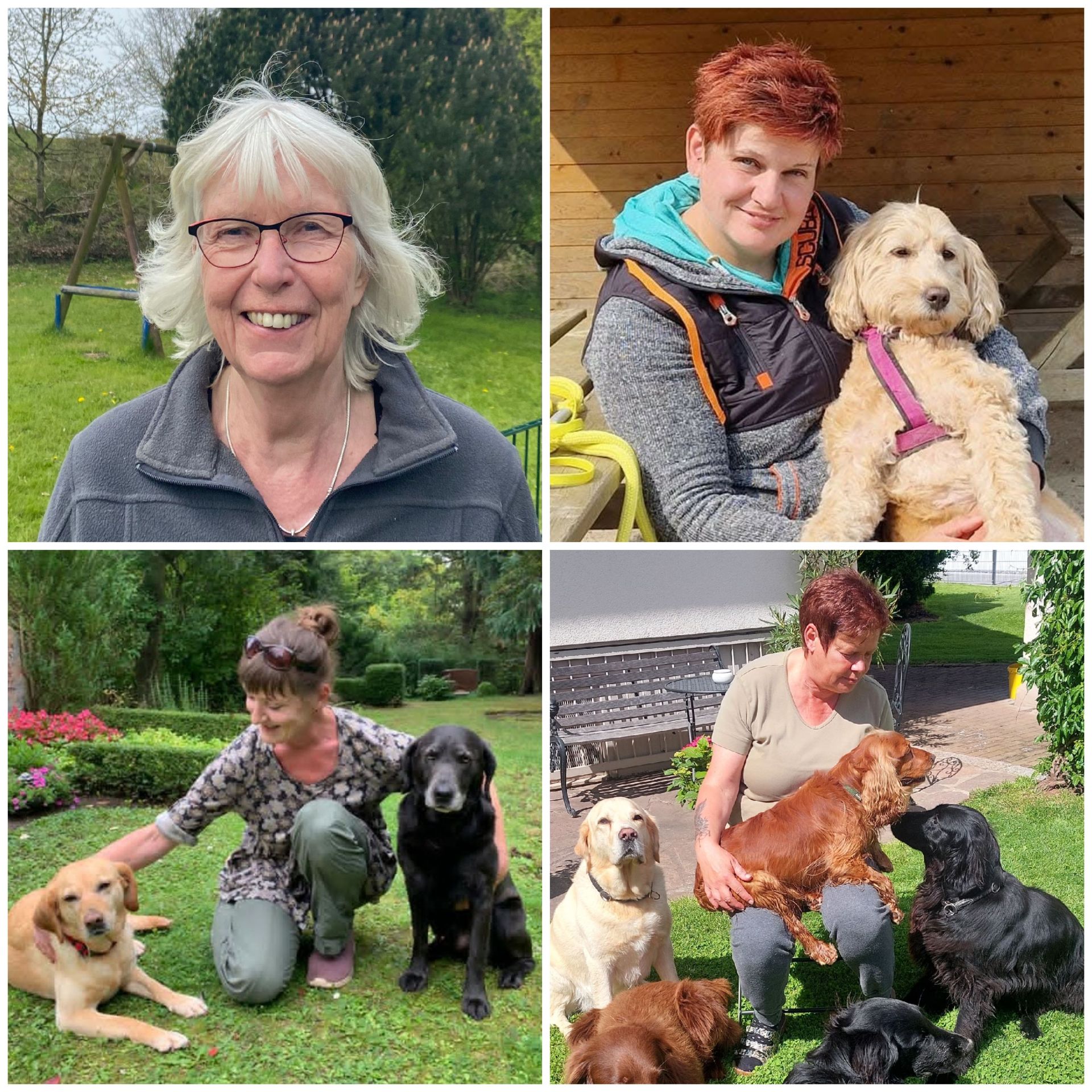 Das Team für unsere Retriever-Pflegestellen