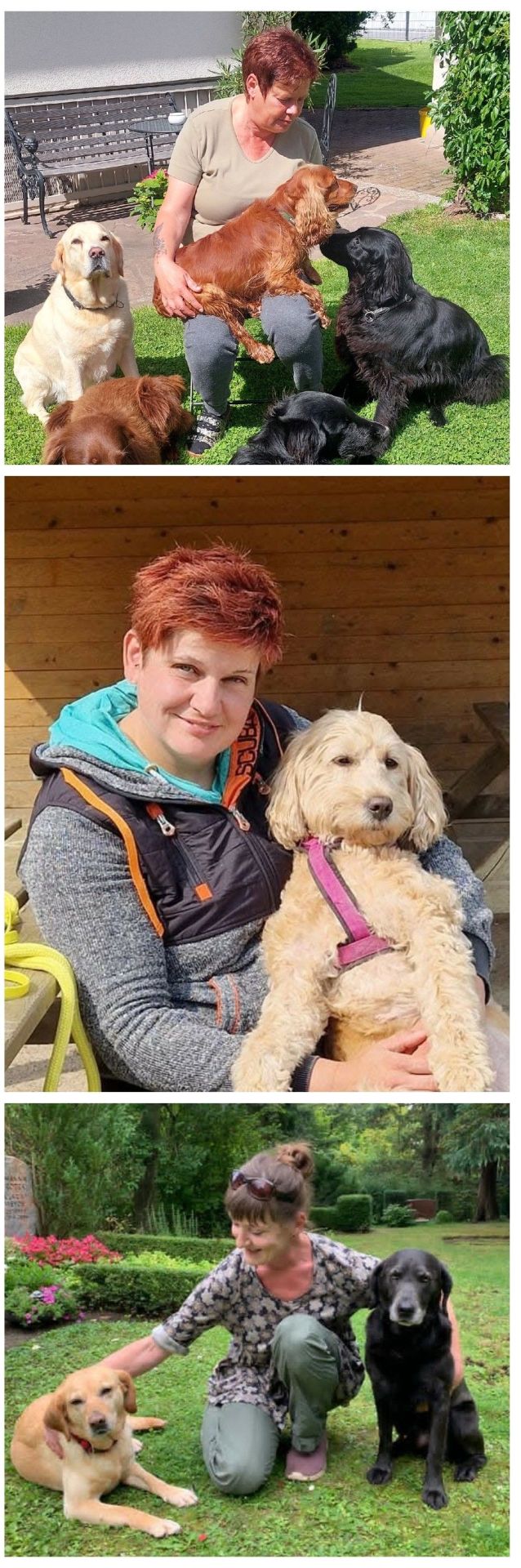 Das Team für unsere Retriever-Pflegestellen