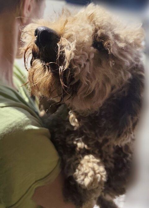 Dusty