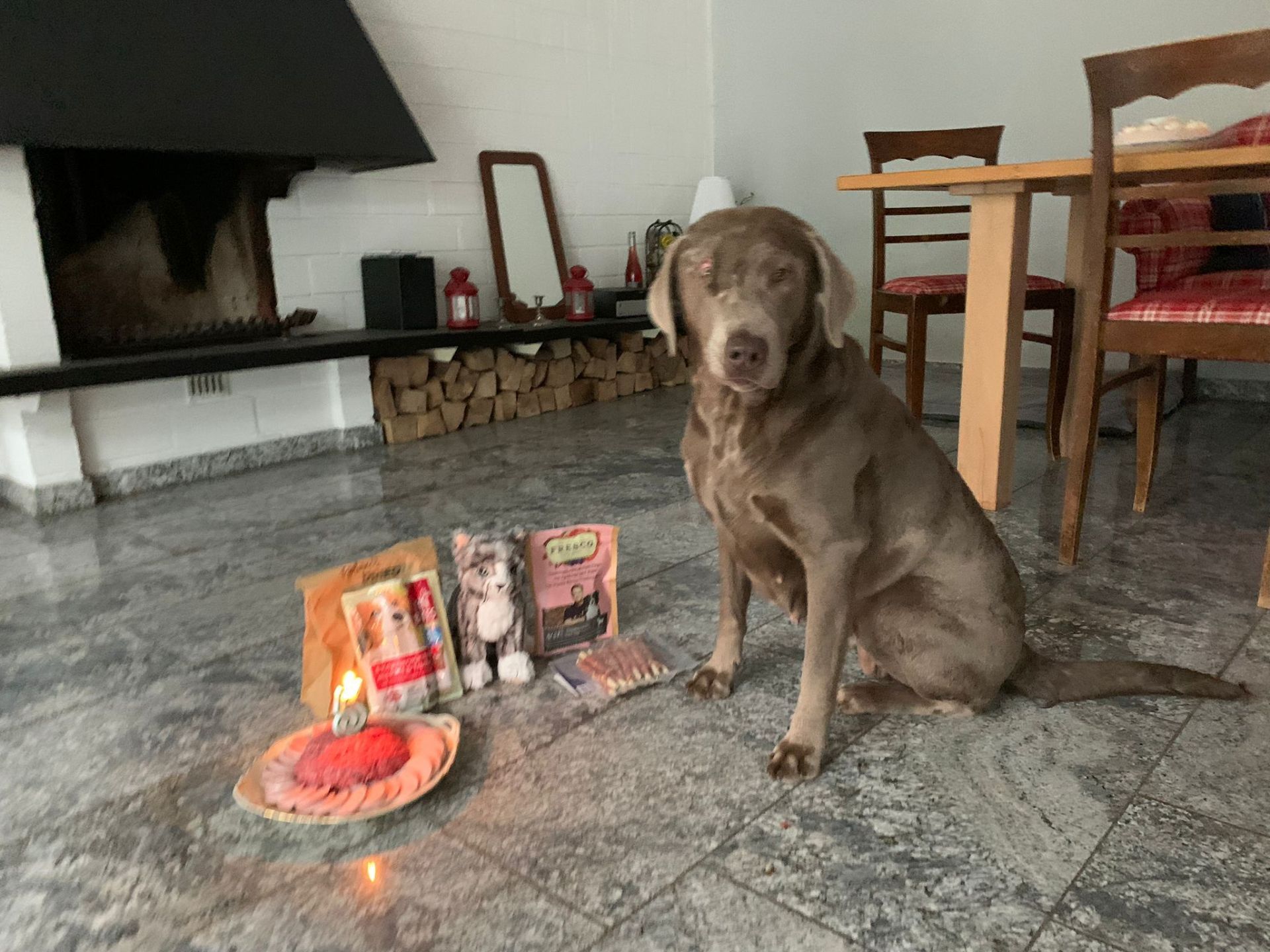 Maya - ein deutsches Schicksal