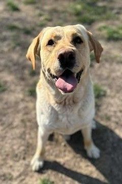 Marley