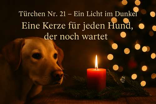 Türchen Nr. 21 – Ein Licht im Dunkel - eine Kerze für jeden Hund, der noch wartet