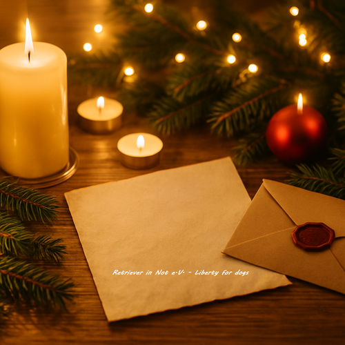 Türchen Nr. 23 – Ein Brief des Christkinds an all unsere Notfellchen