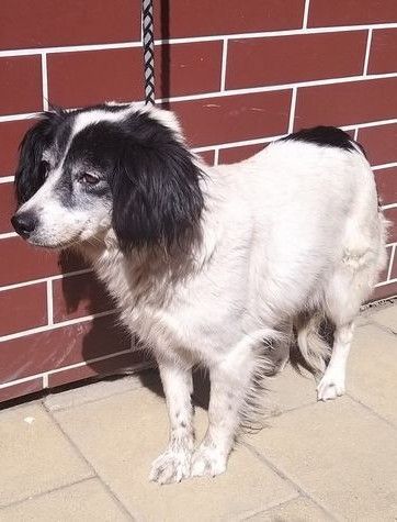 Tula