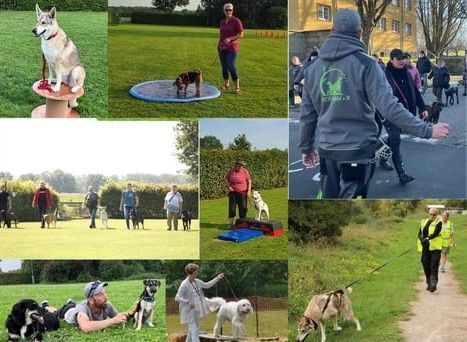 GHSV Herzfeld e.V. – Gemeinsam stark mit Hund und Mensch