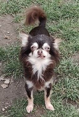 Marla