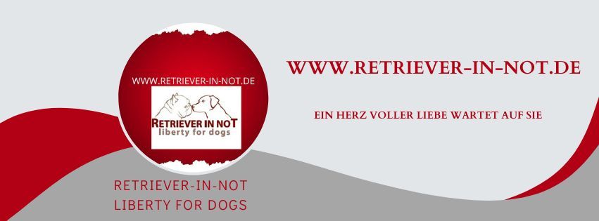 Verein